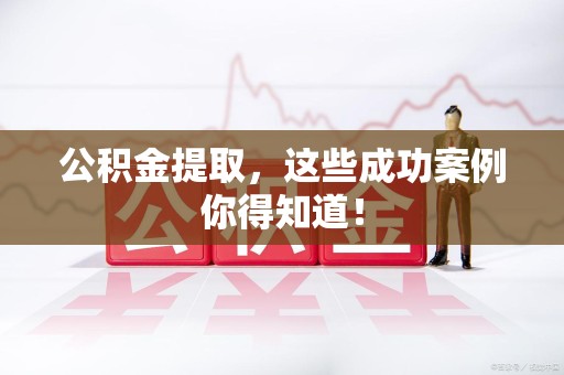 凤阳公积金提取，这些成功案例你得知道！